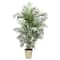 5.3ft. UV Resistant Areca Palm Tree in Country White Planter